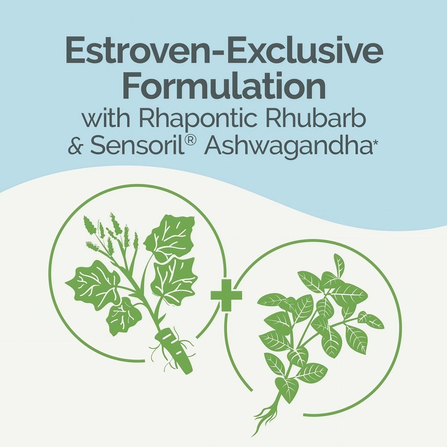 Estroven Complete + Ashwagandha Menopause Relief Supplement for 2 Pack